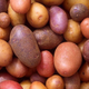 Image for article titled Ten foods in your kitchen that contain gruesome poisons